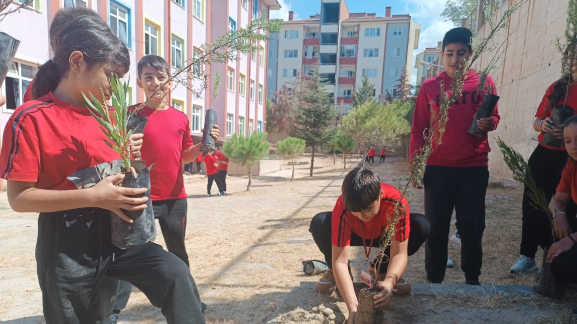 Fidan Dikimi Gerçekleştirdik